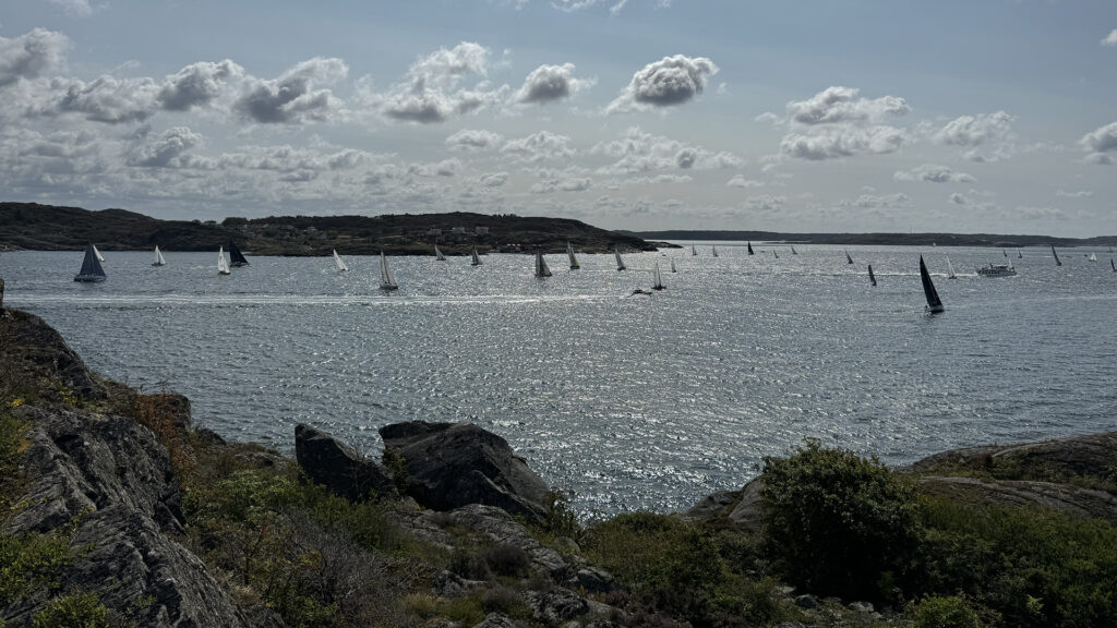 segelbåtar på havet